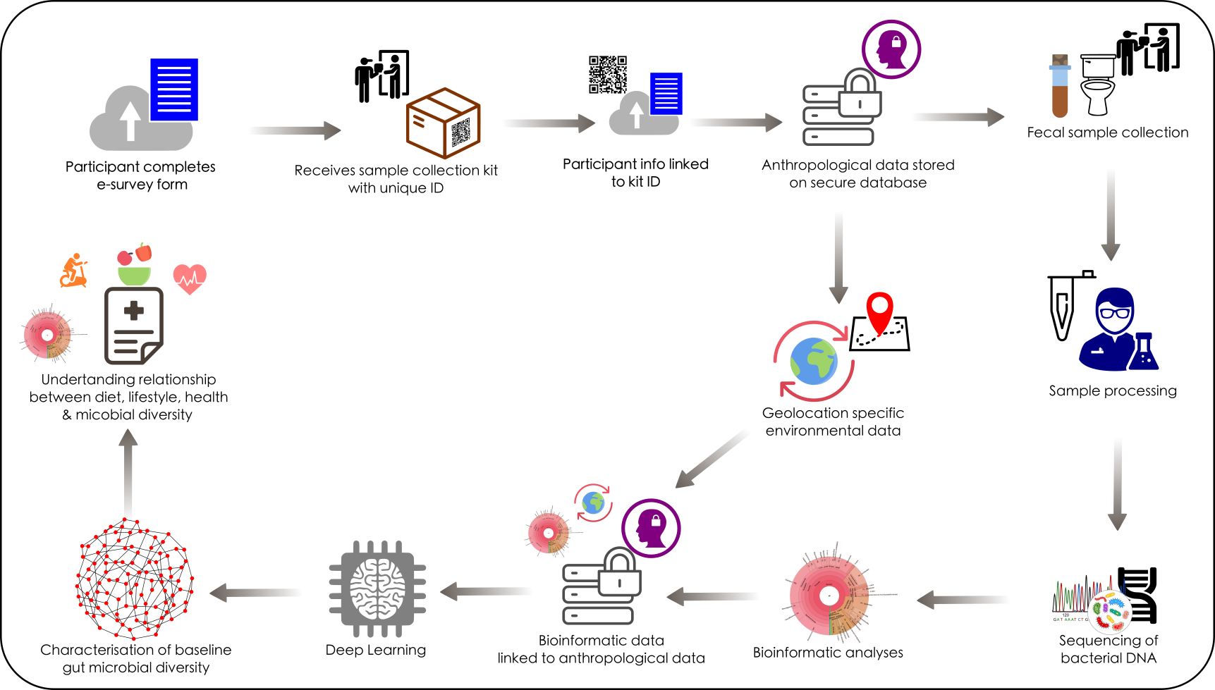 cmmi-welcome-to-the-csir-microbiome-mapping-initiative